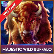 Majestic Wild Buffalo