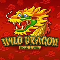 Wild Dragon HOLD&WIN