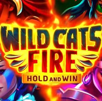 Wild Cats Fire